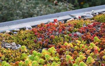 the cost of Hognaston green roof installation